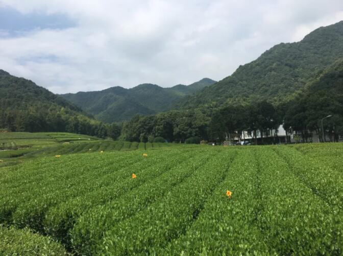 金沙js5588杭州团建地点